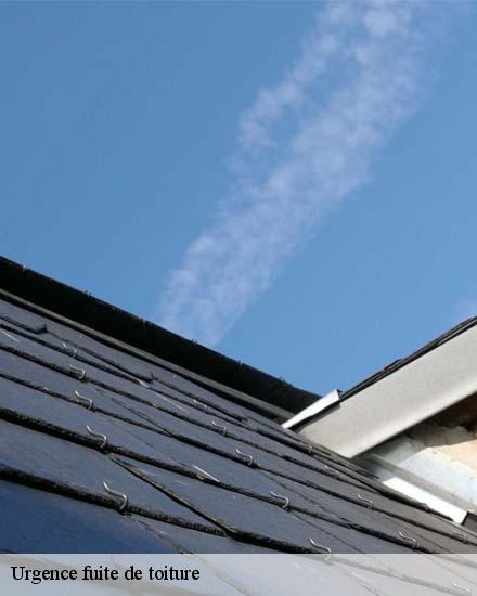 Urgence fuite de toiture  neant-sur-yvel-56430 Artisan Degalet