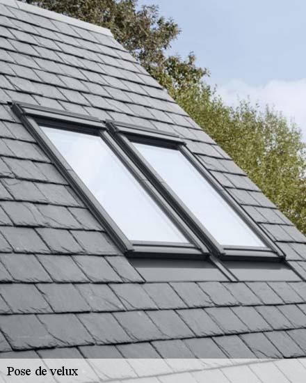 Pose de velux  arzal-56190 Artisan Degalet