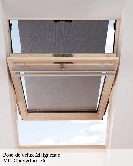 Pose de velux  malguenac-56300 Artisan Degalet