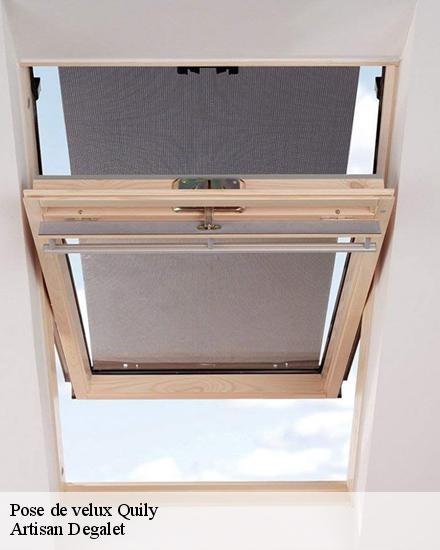 Pose de velux  quily-56800 Artisan Degalet