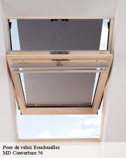 Pose de velux  roudouallec-56110 Artisan Degalet