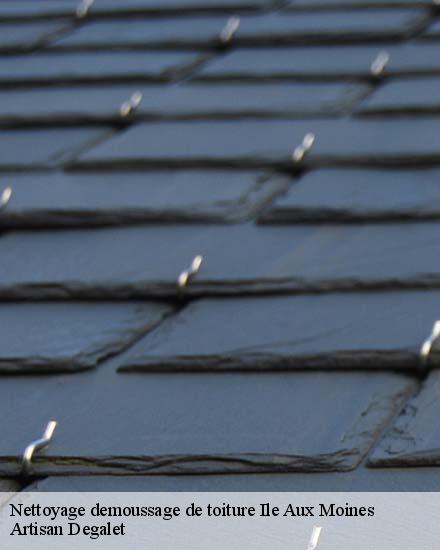 Nettoyage demoussage de toiture  ile-aux-moines-56780 Artisan Degalet