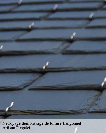 Nettoyage demoussage de toiture  langonnet-56630 Artisan Degalet