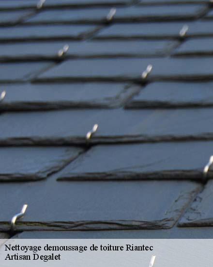 Nettoyage demoussage de toiture  riantec-56670 Artisan Degalet