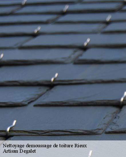 Nettoyage demoussage de toiture  rieux-56350 Artisan Degalet