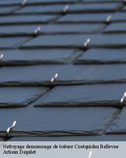 Nettoyage demoussage de toiture  coetquidan-bellevue-56380 Artisan Degalet